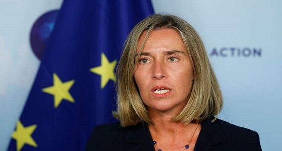 ” الإتحاد الأوروبي ” يعرب عن قلقه من تصاعد الأعمال العسكرية في سوريا