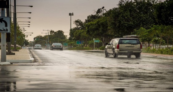 هطول أمطار رعدية مصحوبة برياح نشطة على الشرقية