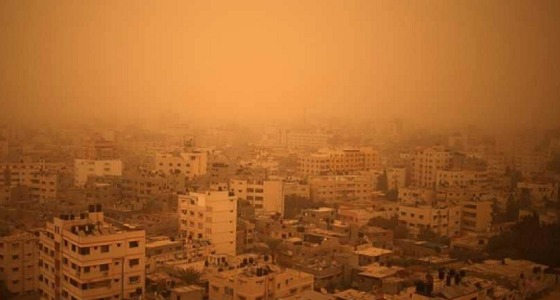 فلسطيني يطعن أمه.. والسلطات: مختل عقليا