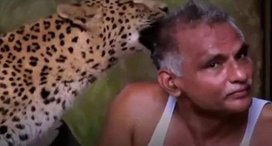 بالفيديو.. رجل يربي الدببة والفهود كحيوانات أليفة