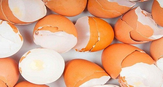 5 فوائد مهمة عند تناول قشر البيض