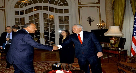 وزير الخارجية المصري: نسعى لحل النزعات في المنطقة بالوسائل السلمية