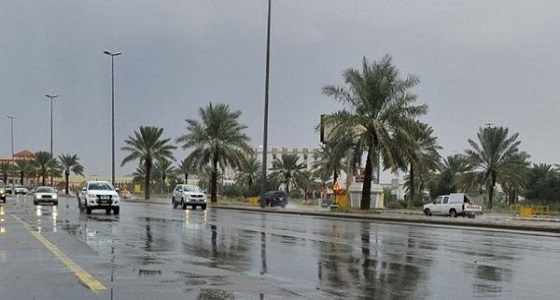 المسند: المملكة خالية من أي حالة مطرية قوية لمدة 5 أيام
