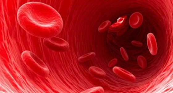 وظائف كرات الدم الحمراء في جسم الإنسان
