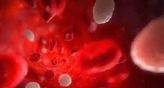 أسباب بكتيريا الدم وكيفية علاجها