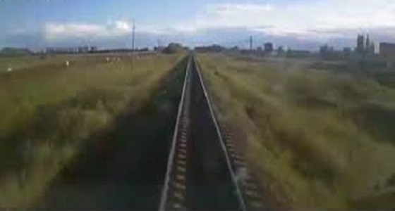 فيديو مروع يرصد لحظة مصرع مزارع وبقرته أسفل عجلات قطار