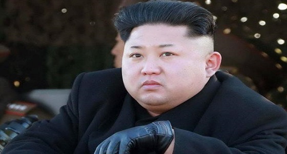 كوريا الشمالية متهتمة بإرسال أسلحة إلى سوريا وميانمار