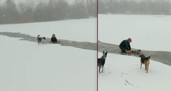 سيدة تلقي بنفسها في المياه المتجمدة لإنقاذ كلب