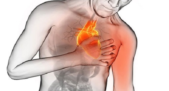 &#8221; النمر &#8221; يوضح أخطر 5 عوامل مسببة لجلطات القلب