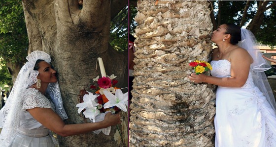 بالصور.. في المكسيك &#8221; الزواج من شجرة &#8221; تثمينًا لقيمة الأرض