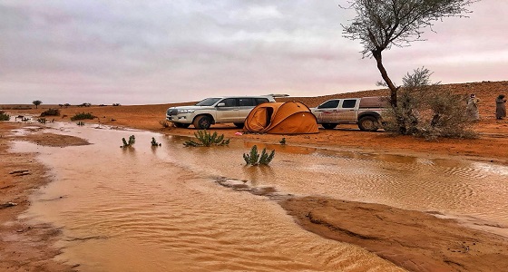 بالفيديو.. صدع أرضي بعد الأمطار الأخيرة شمال شرق تمير