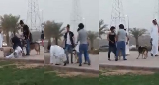 بالفيديو.. شباب يعتدون على رواد ممشى الهجرة