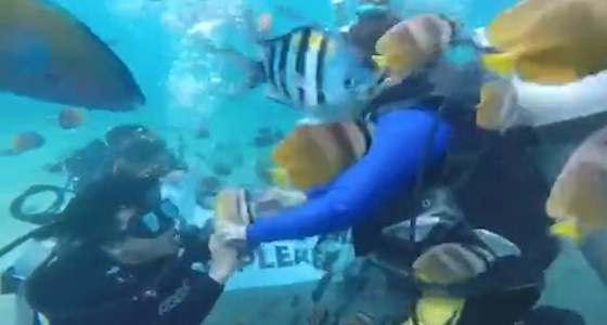 بالفيديو.. مفاجأة غير متوقعة لسيدة تغوص تحت الماء لأول مرة