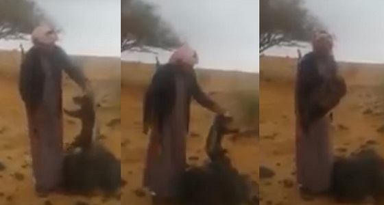 بالفيديو.. حيوان غريب يظهر في قرية بتبوك
