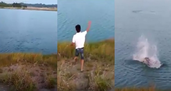 فيديو مروع لشاب يلقي كلبا حيا في النهر لإطعام التماسيح