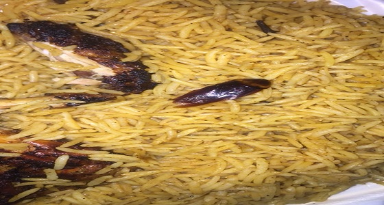 بالصور.. مواطن يعثر على &#8221; صرصور &#8221; بوجبة طعام في رفحاء