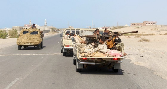 الإرياني: عادت حيس وسنطهر بقية المناطق من الحوثيين قريبًا