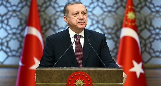 كاتب تركي: أردوغان يخير أوروبا بين مواجهة الإرهاب أو الوقوف بجانب أنقرة