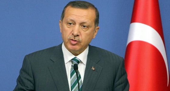 العناني: قصف &#8221; عفرين &#8221; بالكيماوي جريمة جديدة تضاف لسجل أردوغان