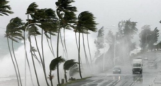عاصفة قوية تضرب مناطق في نيوزيلندا