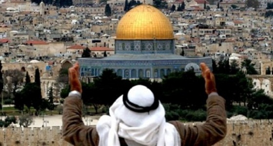 أبرز مبادرات المملكة لدعم القضية الفلسطينية
