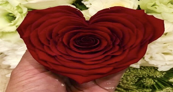 بالفيديو والصور.. المواطنون يحتفلون بـ ” عيد الحب ” لأول مرة