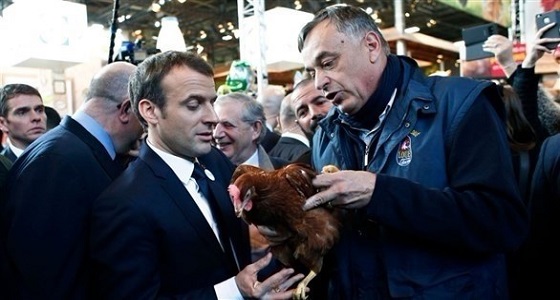 الرئيس الفرنسي يتبنى دجاجة.. ويؤكد: سنقيم قن دجاج في الإليزية
