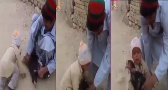 بالفيديو..طفل ينقذ ” ديكًا ” من الذبح