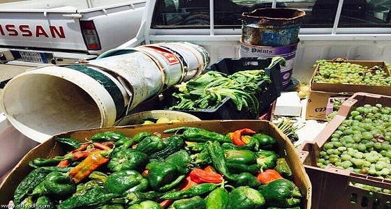 بالفيديو.. ضبط موقعًا مخالفًا لبيع الخضروات في صناعية حي الشفا