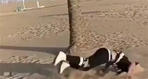 بالفيديو.. سقوط مروع لشاب حاول استعراض مهارته بالقفز
