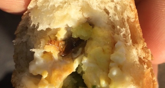 المواطنون يشنون هجوما على المطاعم..ويؤكدون: لا يعلمون شيئا عن النظافة