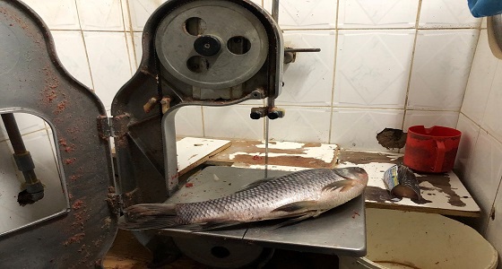 بالصور.. ضبط منزل شعبي يُستخدم في تقطيع اللحوم والأسماك