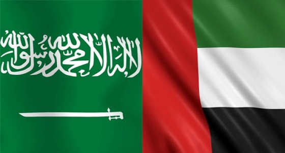 كاتب: عمق العلاقة بين المملكة والإمارات ضمانة قوية للأمن الخليجي