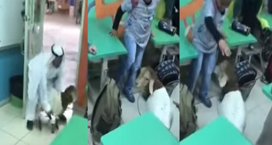 بالفيديو.. معلم يحضر خروفا لطلابه داخل الفصل الدراسي ويثير جدلا