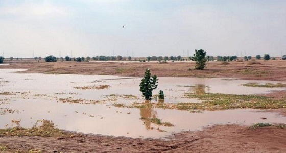 أمطار على محافظة الرس