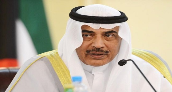 وزيرا الخارجية الكويتي والأمريكي يؤكدان أهمية مواصلة الدعم لاستمرار الحرب ضد &#8221; داعش &#8220;