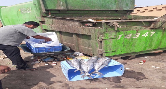 بالصور.. بلدية جازان تصادر 100 كيلو أسماك بسوق السمك
