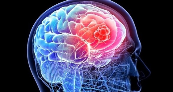 باحثون يكتشفون ما يحدث في الدماغ قبل الموت