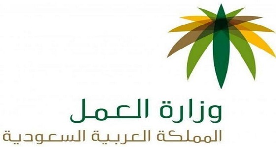 استطلاع: إنشاء وكالة توظيف السعودين لا تساهم في معالجة البطالة بنسبة 46%