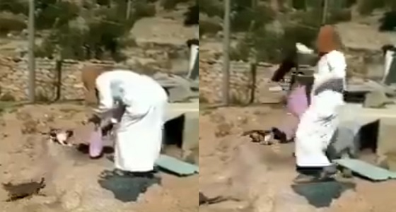 بالفيديو.. شخص يعذب قطة حتى الموت