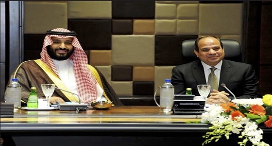سلطان بن سحيم يوضح أهمية استمرار التعاون السعودي المصري