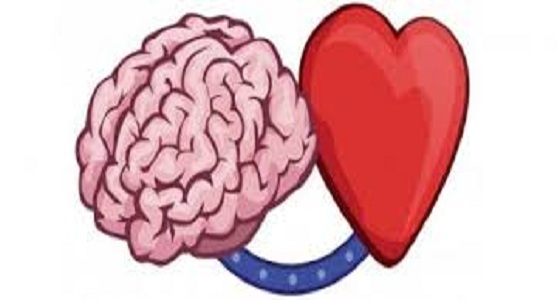 اكتشاف مناطق بالقشرة الدماغية مسئولة عن الحب