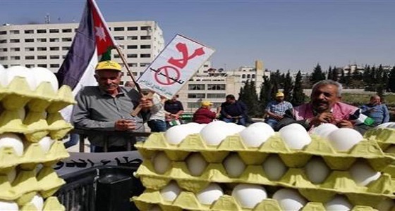 بالفيديو.. مزارعو الأردن يحتجون بالأبقار والدجاج والبيض أمام البرلمان