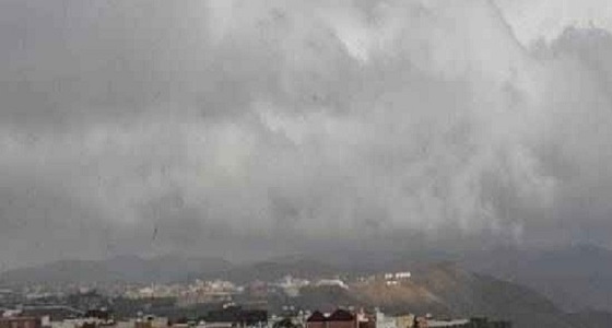 الأرصاد: استمرار هطول أمطار رعدية متوسطة إلى غزيرة بالقصيم