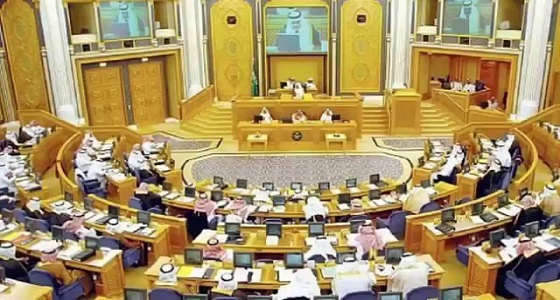 ” الشورى ” يرفض تملك غير السعوديين للمجمعات الطبية والعيادات