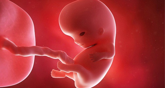 دراسة أمريكية: التوتر يؤثر على نمو الجنين
