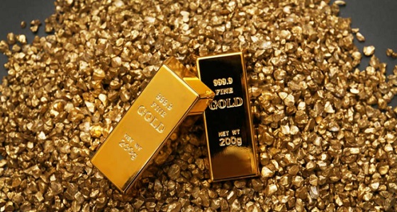 استقرار أسعار الذهب وسط احتمالات برفع الفائدة في أمريكا