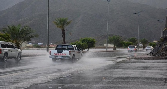 بالفيديو.. هطول أمطار رعدية مصحوبة برياح نشطة على الباحة
