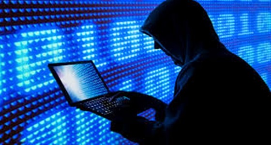 ألمانيا: هجوم إلكتروني جديد يستهدف بيانات حكومية