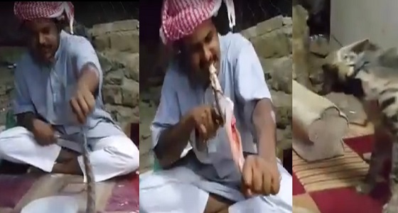 بالفيديو.. شاب سعودي يسلخ حيه حتى الضبع انهبل من تصرفة
